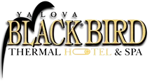 Black Bird Thermal Hotel & SPA
