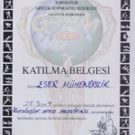 masatenisi